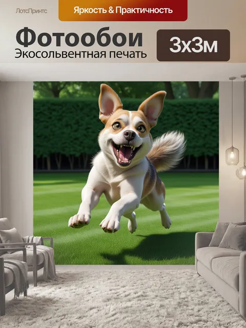 Фотообои собачка, газон, прыгать