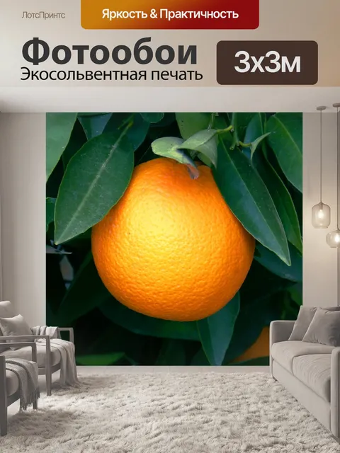 Фотообои Апельсин