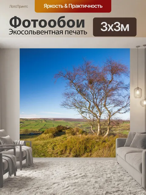 Фотообои Голые дерево