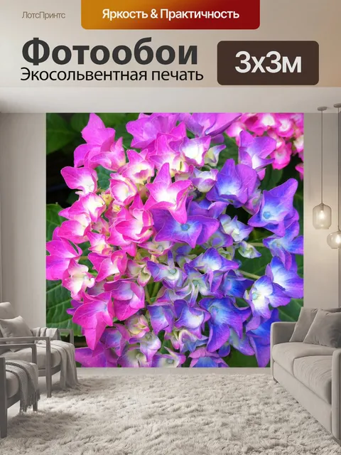 Фотообои Гортензия