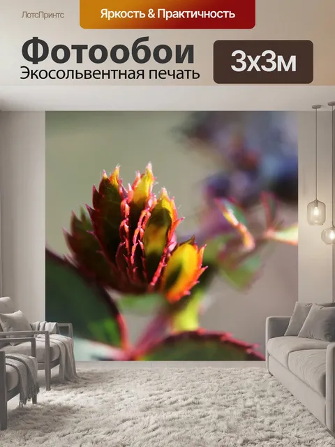 Фотообои солнечный свет на новых листьях красной