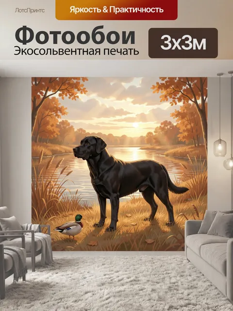 Фотообои Черный лабрадор у реки осенью