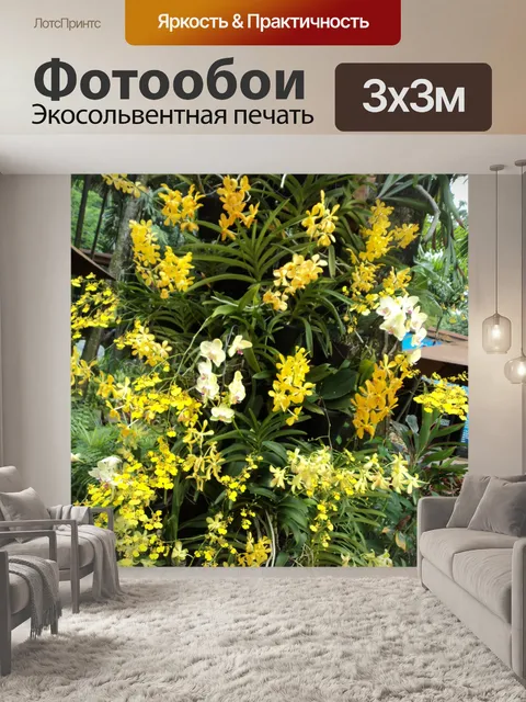 Фотообои желтые орхидеи