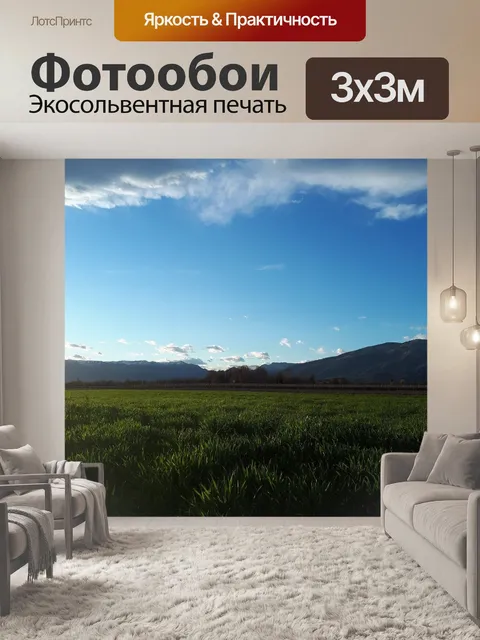 Фотообои Поле