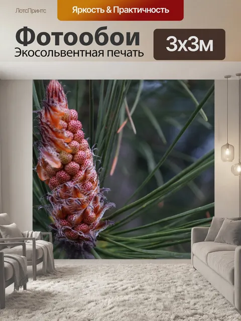 Фотообои Сосна