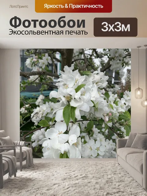Фотообои Белые цветы