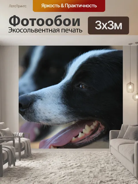 Фотообои Собака