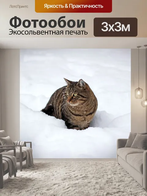 Фотообои Кот