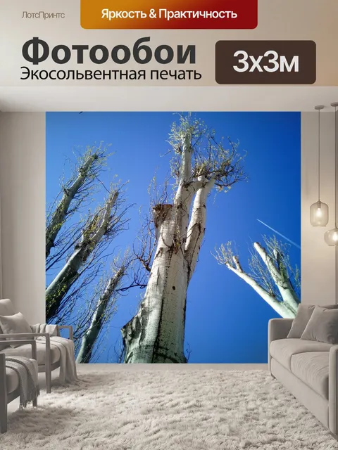 Фотообои Деревья