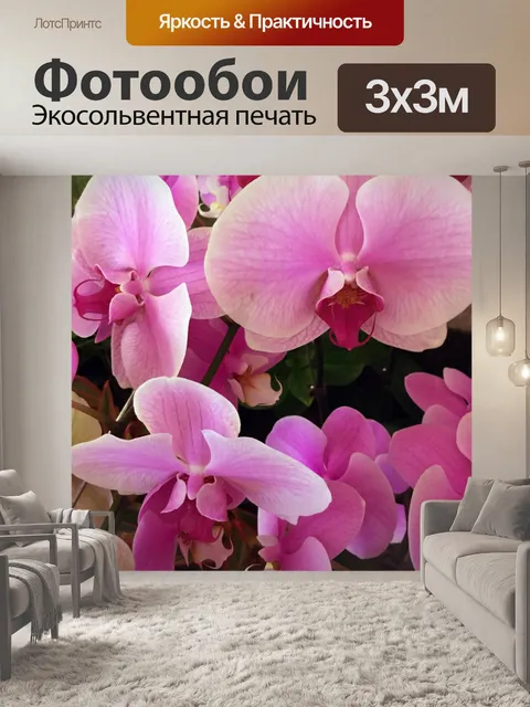 Фотообои Фиолетовые Орхидеи