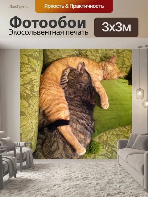 Фотообои Cuddling кошки