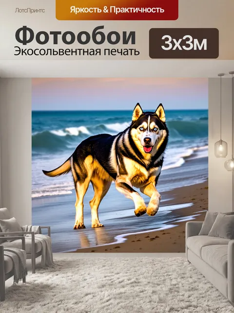 Фотообои хаски, бегущий по пляжу на закате