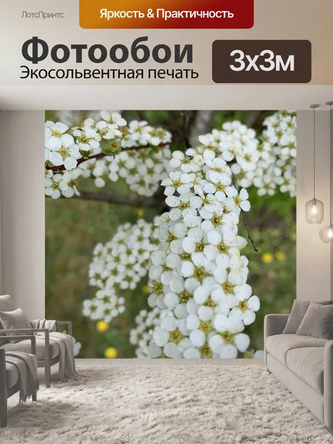 Фотообои Белые цветы