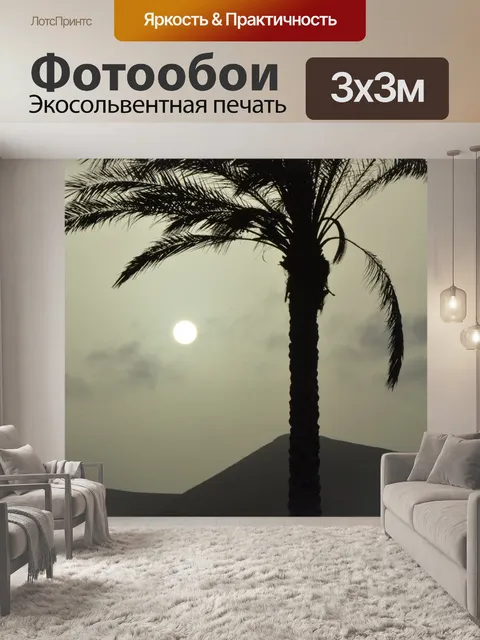 Фотообои Дерево пальмы