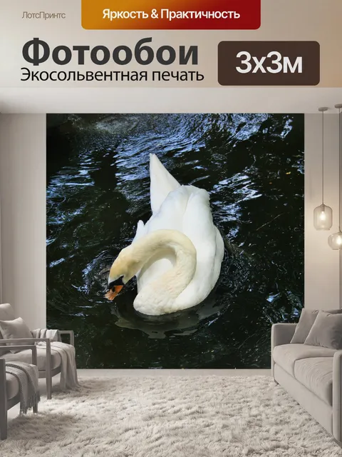Фотообои ослепительно белый лебедь