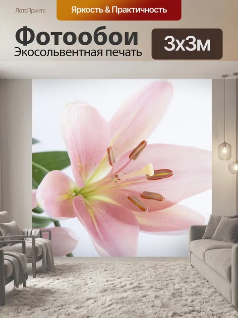 Фотообои Лилии Цветы