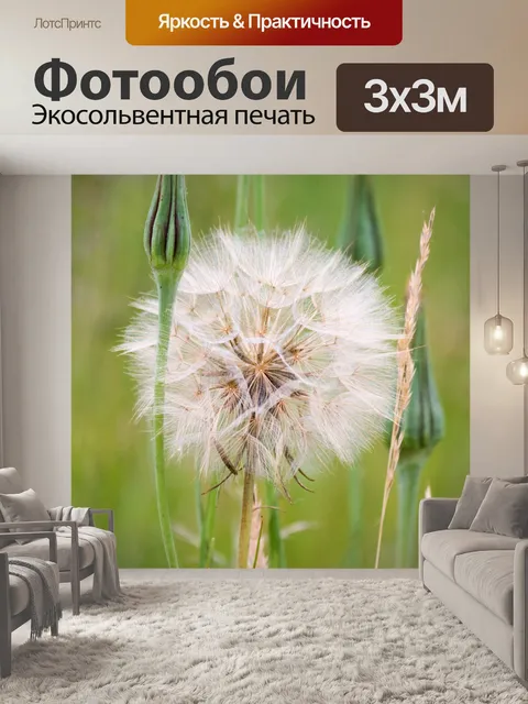 Фотообои Цветок одуванчика Puff