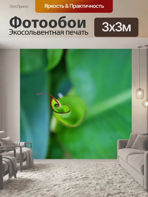 Фотообои Новый Канна лист