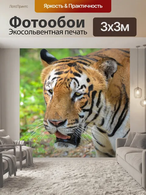 Фотообои Тигр