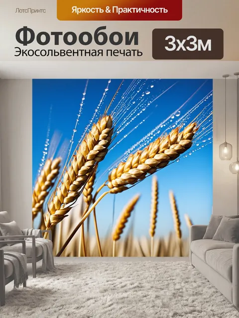 Фотообои пшеница, золотая от солнца, с каплями росы, на фоне голубого ясного неба