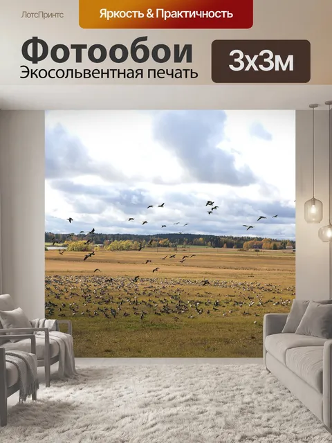 Фотообои Осень