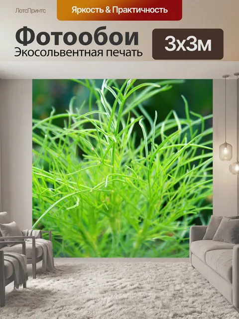 Фотообои хорошо зеленая листва