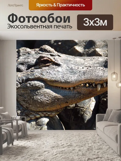 Фотообои Аллигатор Up Close