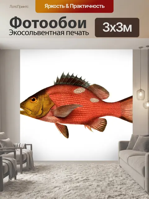 Фотообои Рыбный окунь Винтажное искусство