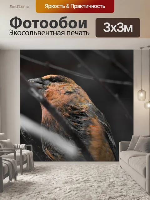 Фотообои Перекрестный счет