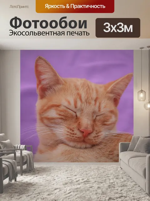 Фотообои Кот