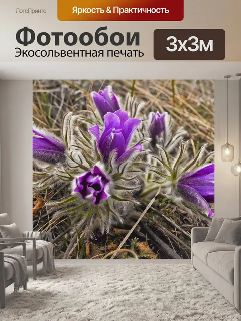 Фотообои Подснежники