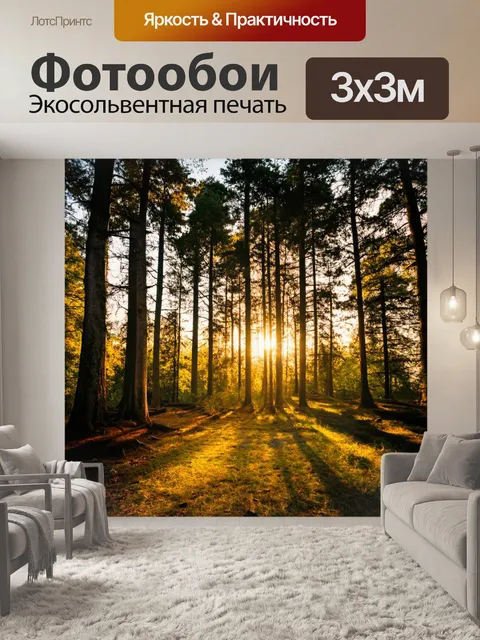 Фотообои лес с светом заходящего солнца, длинные тени от деревьев