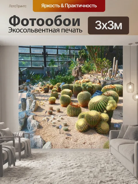Фотообои Кактус