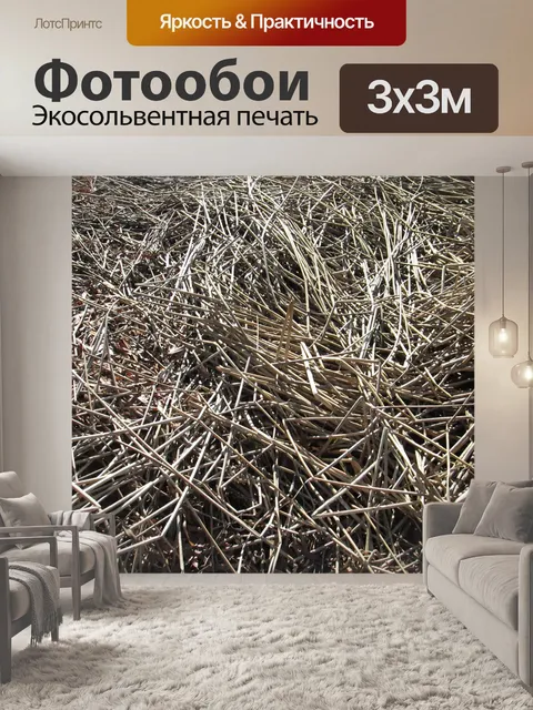 Фотообои Камыши Текстура 4