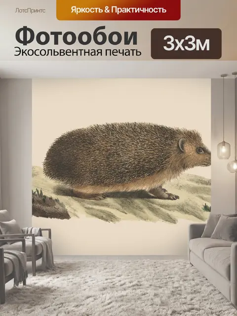 Фотообои Ежик Винтаж Искусство Иллюстрация