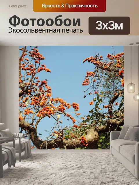 Фотообои Цветущие деревья chhola