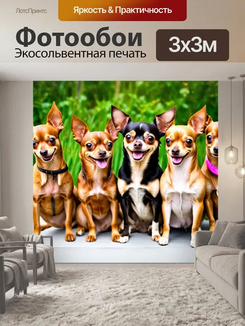Фотообои чихуахуа в колонне друзей, позирующий для совместного фото, радостные лица, живописная природа