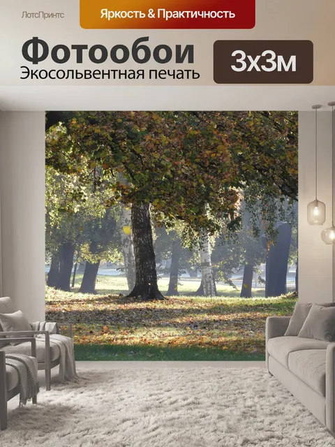 Фотообои Деревья осенью