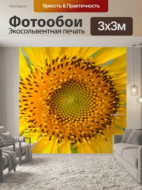 Фотообои Сердце подсолнечника, Helianthus