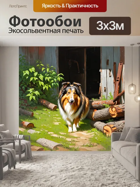 Фотообои грубая колли исследует старинную заброшенную ферму с ярко-зелеными растениями, пробивающимися через трещины