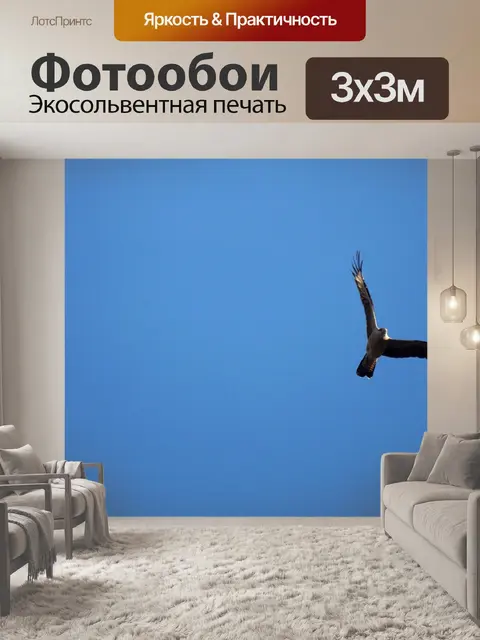 Фотообои Орел