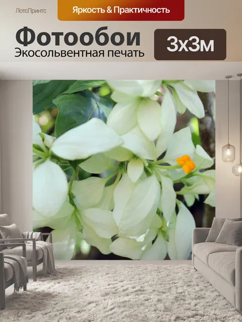 Фотообои белые цветы 6