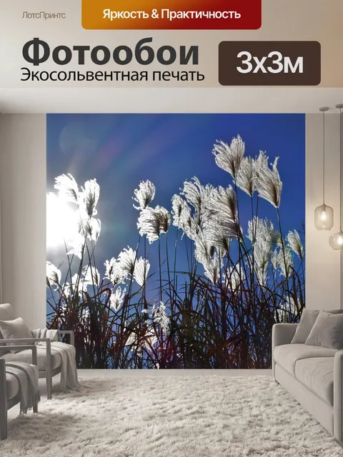 Фотообои Солнце