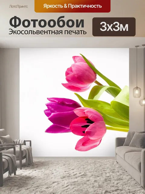 Фотообои Тюльпаны