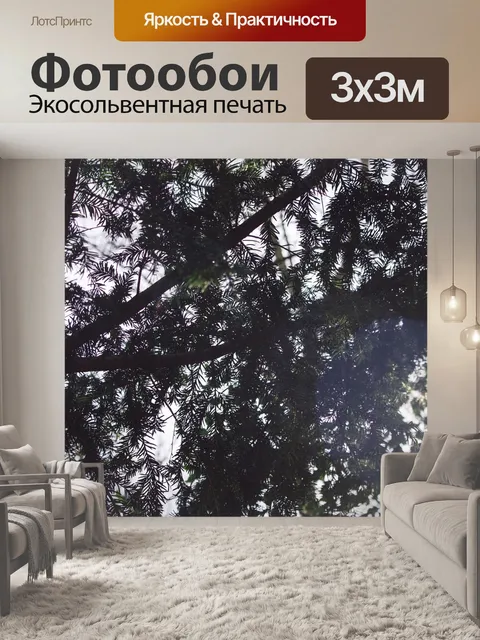 Фотообои Зеленый