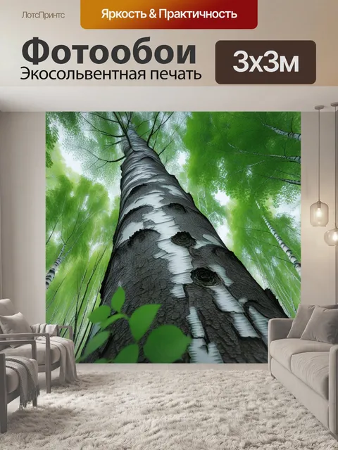 Фотообои старая береза с длинными ветвями в лесу