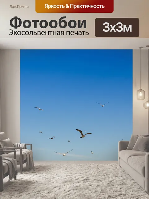 Фотообои Птицы и голубое небо