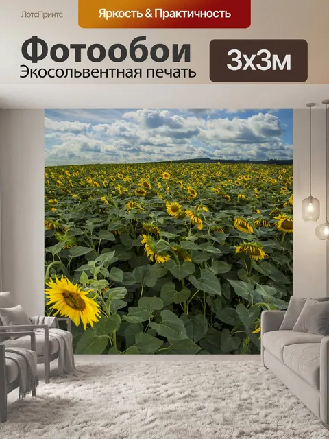 Фотообои Поле подсолнухов