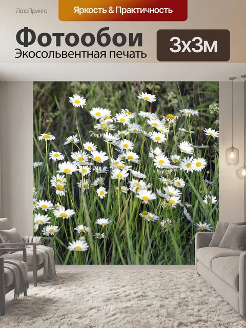 Фотообои Поле цветов цветков ромашки