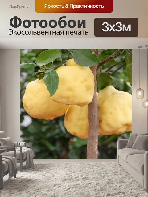 Фотообои Лимонное дерево